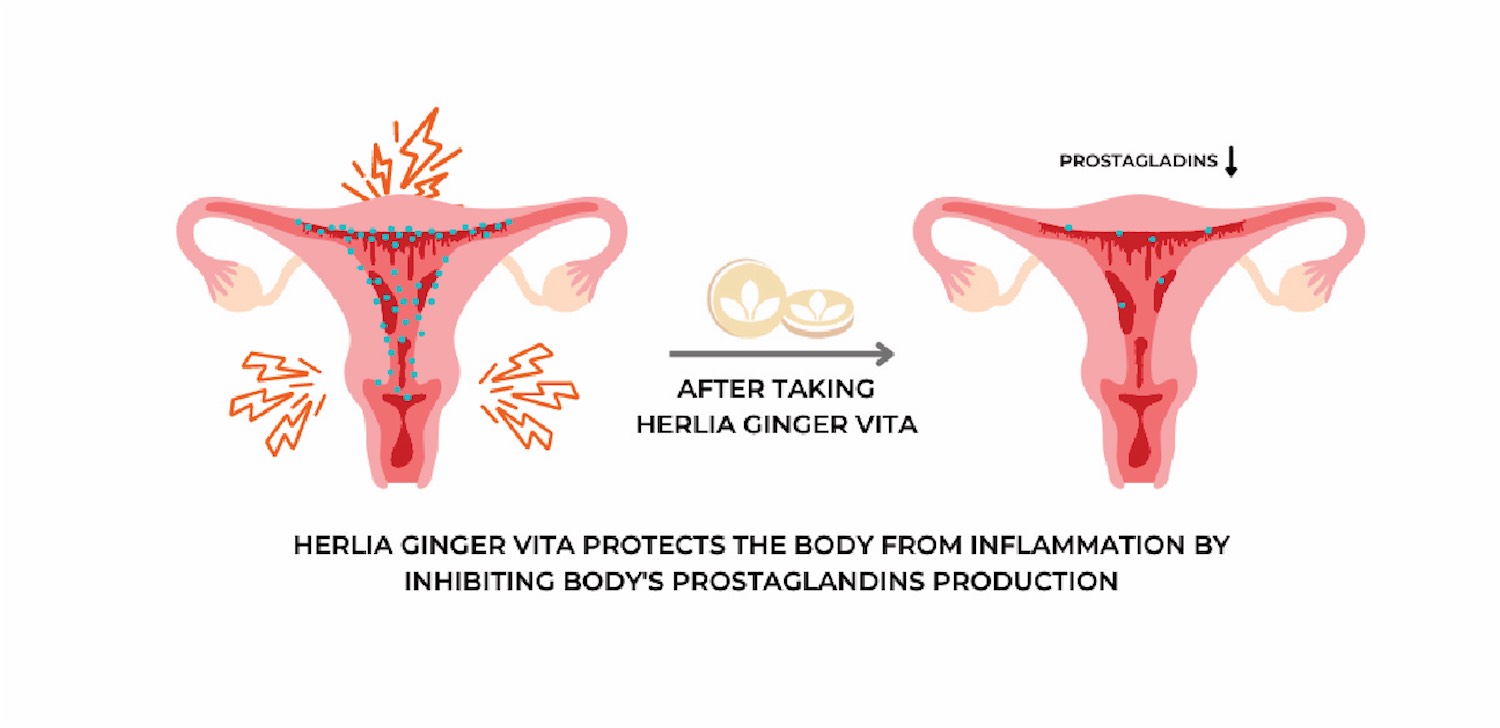 How Herlia® Ginger Vita reduces period pain