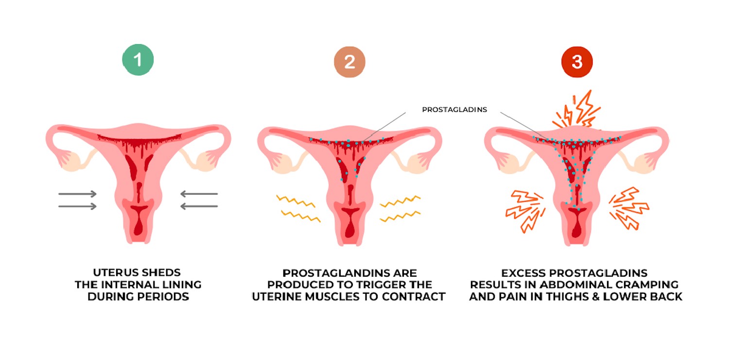 Why Period Pain